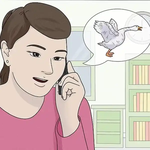 РАДИО ГУСЬ обратная связь